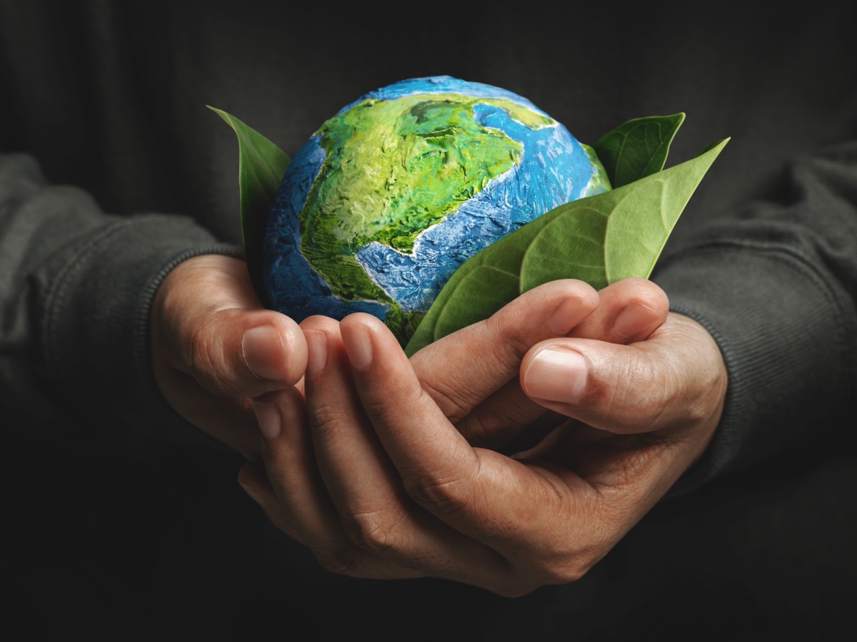 Cupped hands holding a small globe wrapped in green leaves